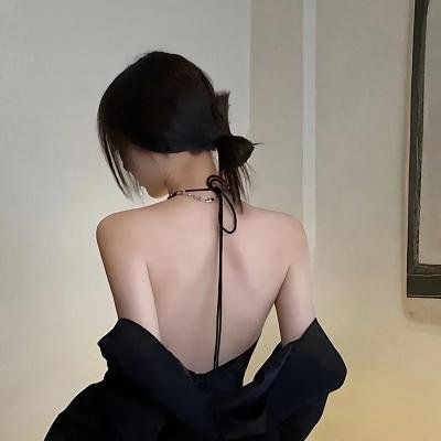 海龟故事